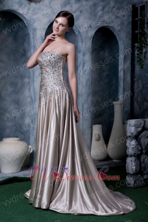 Dark Champagne Strapless Silk Like Satin Evening Dress Low Price Night Club