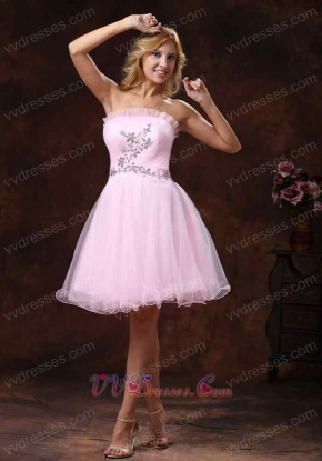 Sweet Baby Pink Beaded Strapless Homecoming Dress Wholsale at Low Price