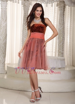 Rust Red Short Prom Dress With Birds Feather Printed Design Luxury