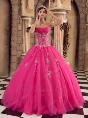 Sleeveless Embroidery Hot Pink Winter Quinceanera Gown