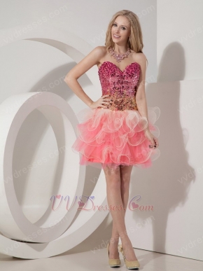 Fit And Flare Pink 2014 Top Designer Custom Sweet Sixteen Dress