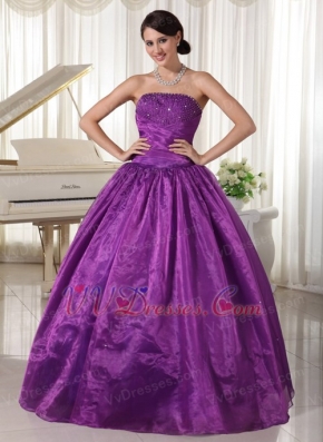 Eggplant Purple Quinceanera Dress For Custom Made Decorate Strapless Like Princess