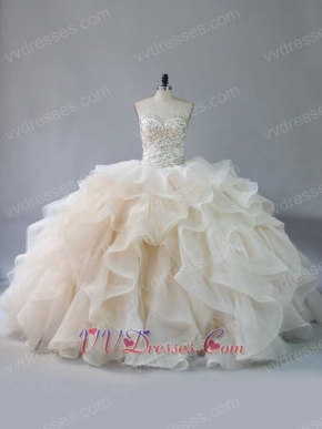 Elegant V-Shaped Waist Horsehair Organza Ruffles Puffy Quinceanera Ball Gown Beige