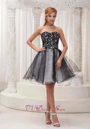 Little Black Lace Bodice Puffy Tulle Dress Group Purchase Discount