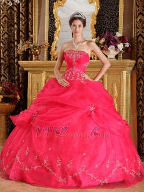 Strapless Ball Gown Embroidery Deep Pink Quinceanera Gown