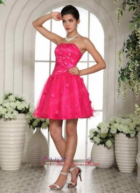 Pretty Fully Flowers Decorate Hot Pink Mini Homeingcome Dress High Street