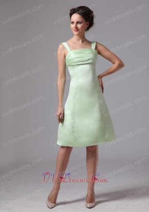 Apple Green Knee-length Bridesmaid Dress For Junior Girl Wear