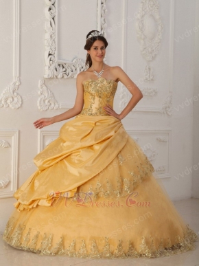 Gold Princess Women Quinceanera Dress With Appliqued Edge Of Skirt