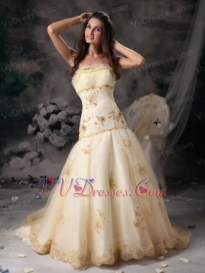 Champagne Strapless Organza Prom Dress With Golden Embroidery Inexpensive