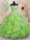 Exclusive Fluffy Bubble Train Spring Green Quinceanera Ball Gown With Lilac Details