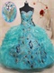 Apple Green Side Bubble Peacock Applique Quinceanera Ball Gown Stage Proscenium