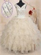 Website Online Safety Champagne Organza Quinceanera Gown Fully Beadwork V-Neck Bodice