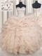 Champagne Half Bubble Half Ruffles Puffy 2019 Quinceanera Gown As Gift