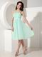 Pretty Apple Green Chiffon Junior Bridesmaid Dresses Cheap