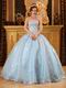 Baby Blue Organza For 2018 Winter Quinceanera Party Dress