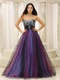 Leopard Bust With Colorful Tulle Holiday Cocktail Prom Dress Long