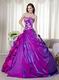 Custom Made Purple sQuinceanera Dress For 2014 Girls Wear