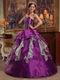 Apple Green And Purple Contrast Skirt Quinceanera Dress