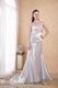 Strapless Appliqued Silver Long Prom Dress New Arrival