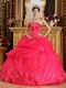 Strapless Ball Gown Embroidery Deep Pink Quinceanera Gown