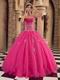 Sleeveless Embroidery Hot Pink Winter Quinceanera Gown