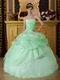 Lovely Style Quinceanera Theme Dress In Apple Green