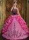 Strapless Hot Pink Quinceanera Dress With Black Embroidery