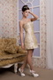 Champagne Column Strapless Mini-length Taffeta Homecoming Dress Knee Length Sexy