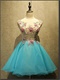 Aqua Scoop Mini Length Homecoming Dress With Wintersweet Appliques
