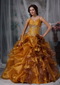 Spaghetti Straps Ruffled Yellow Quinceanera Dress With Flowers Like Princess