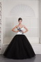 Black and White Ball Gown V-neck Floor-length Embroidery Quince Dress Like Princess