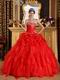 Appliqued Custom Make Quinceanera Dress Wholesale Price