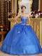 Blue Organza Appliqued Winter Quinceanera Dress Sweetheart