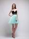 Black and Light Sky Blue Dresses To Sweet 16