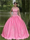 Rose Pink Square Stand Peaked Lapel Quinceanera Dress Embroidery