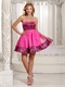 Hot Pink Organza Mini-length Zebra Choir Dress Wholesale Price