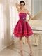 Fuchsia and Red Layers Vacation Cocktail Dress Married Women